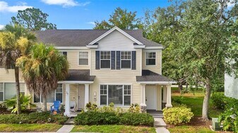 12426 Country White Cir in Tampa, FL - Building Photo