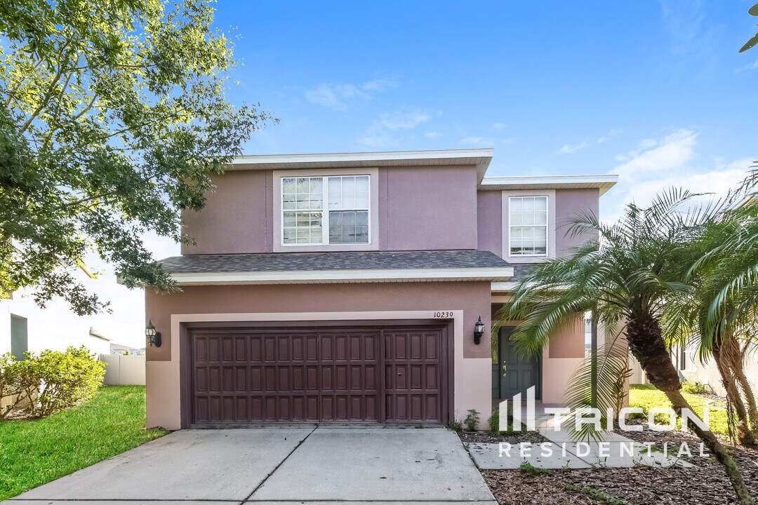 10239 Newminster Loop in Ruskin, FL - Building Photo