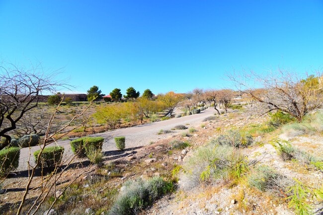 1901 Villa Palms Ct in Las Vegas, NV - Building Photo - Building Photo