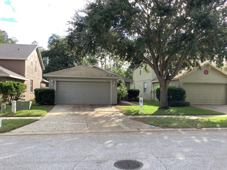 7742 Citrus Blossom Dr in Land O Lakes, FL - Building Photo