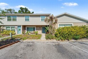 14806 Morning Dr in Lutz, FL - Building Photo