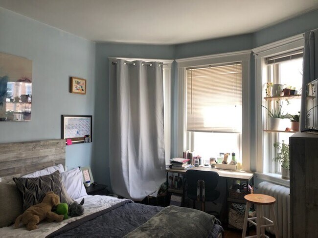213 Kelton St in Boston, MA - Building Photo - Building Photo