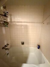 541 W Oakdale Ave in Chicago, IL - Building Photo - Building Photo