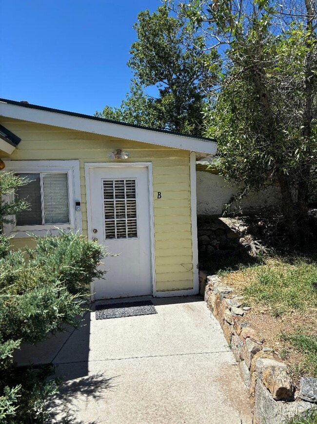 83 Co Rd 308 in Dumont, CO - Building Photo - Building Photo