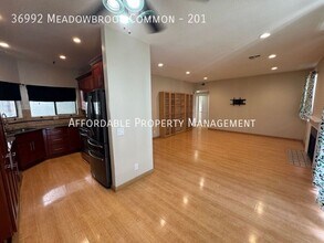 36992 Meadowbrook Common in Fremont, CA - Building Photo - Building Photo