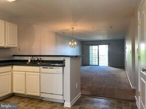 1205 Caitlins Way in Millsboro, DE - Building Photo - Building Photo