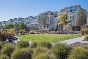 Bayshores in Newark, CA - Building Photo