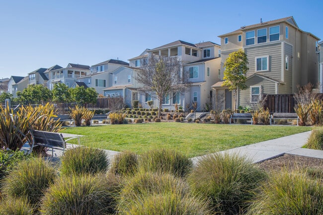 Bayshores