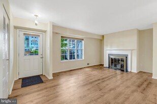 13738 Autumn Vale Ct in Chantilly, VA - Building Photo