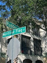 8264 Maritime Flag St in Windermere, FL - Building Photo - Building Photo