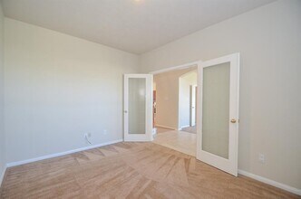 17407 S Sienna Cove Ln in Houston, TX - Building Photo - Building Photo