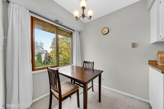 66 Commonwealth Ct in Vernon Hills, IL - Building Photo - Building Photo