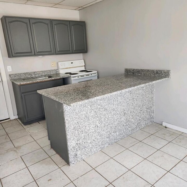 223 Hamilton St in Southbridge, MA - Building Photo