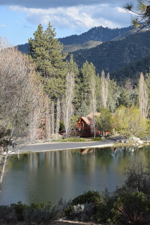 16013 Edgewood Way in Pine Mountain Club, CA - Building Photo