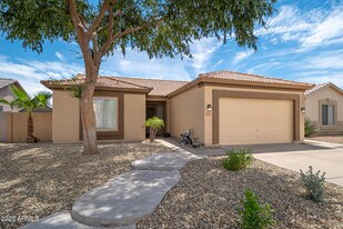 13679 W Tara Ln in Surprise, AZ - Building Photo