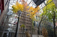Building Photo - Cobbler Square Lofts Apartments in Chicago, Illinois