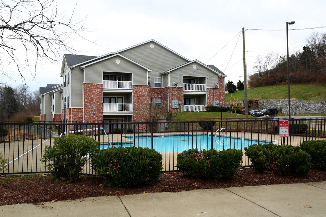 Swiss View Apartments in Nashville, TN - Foto de edificio