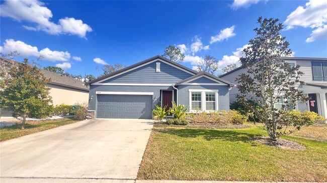 property at 2039 Buckhanon Trail