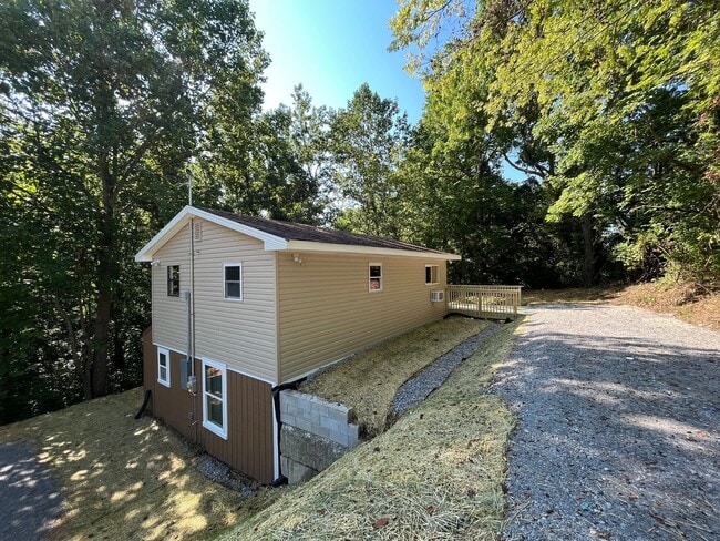 718 Mt Vernon Rd in Bethpage, TN - Building Photo - Building Photo