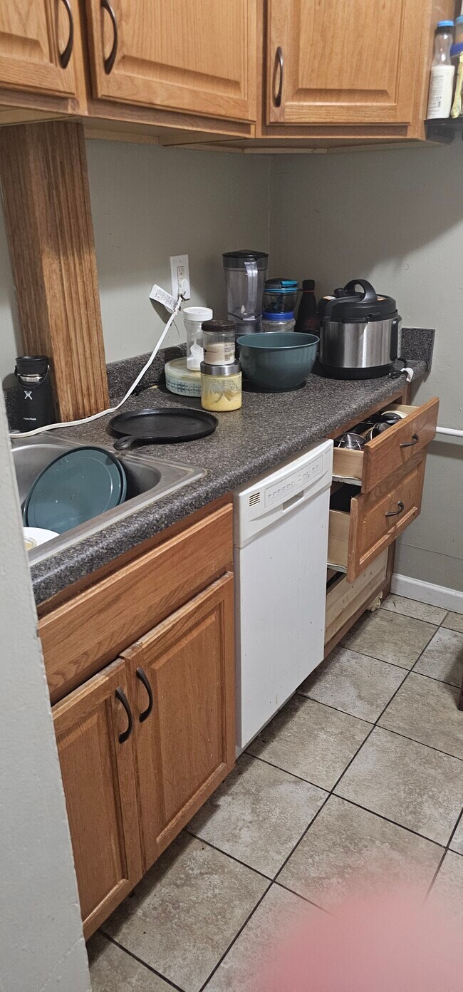 380 Riverway, Unit 3 in Boston, MA - Building Photo - Building Photo