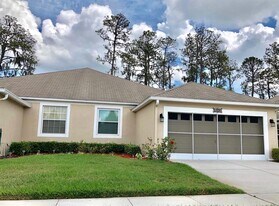 5804 Autumn Shire Dr in Zephyrhills, FL - Building Photo