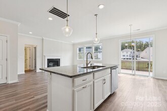 17121 Carolina Pine Row in Charlotte, NC - Building Photo - Building Photo