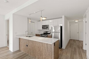 411 W Wolf Point Plaza in Chicago, IL - Building Photo