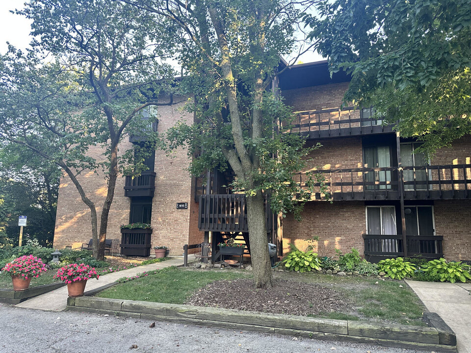 1615 Maple Terrace in Lisle, IL - Building Photo