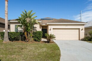 10644 Shady Preserve Dr in Riverview, FL - Building Photo