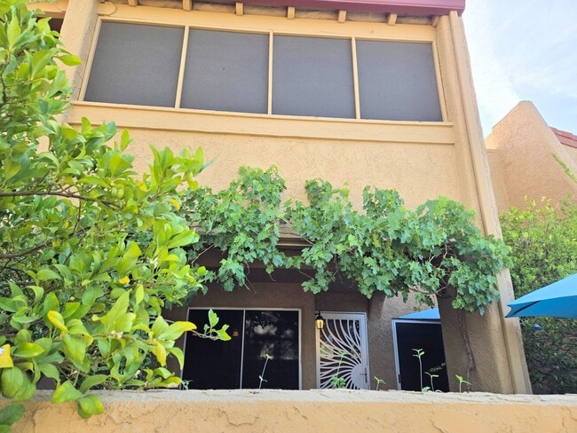 property at 8422 N Central Ave