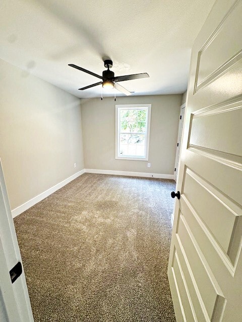 890 Cumberland Dr in Clarksville, TN - Building Photo - Building Photo