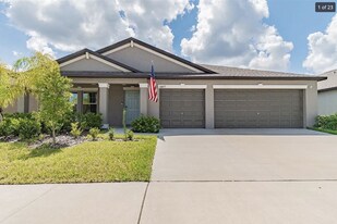 10852 Sage Canyon Dr. in Riverview, FL - Building Photo