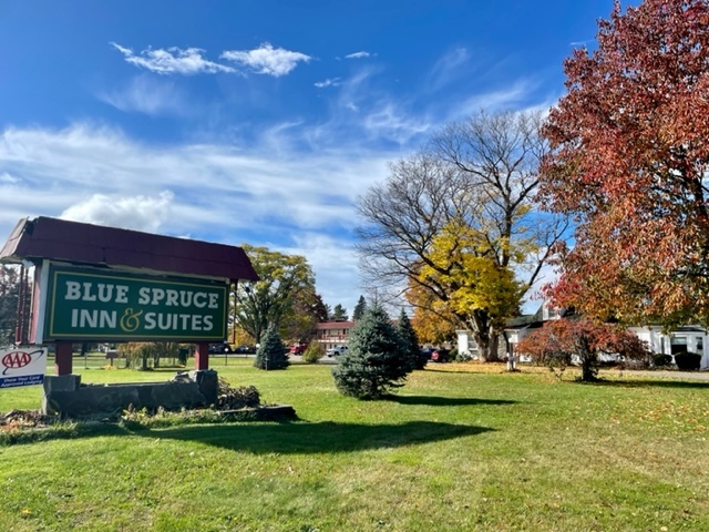 Blue Spruce Inn & Suites