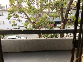 1882 Pandora Ave in Los Angeles, CA - Foto de edificio - Building Photo