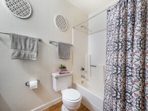 Sands Apartments in Mesa, AZ - Building Photo - Building Photo