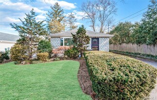 45 21 Iris Ln in Great Neck, NY - Building Photo