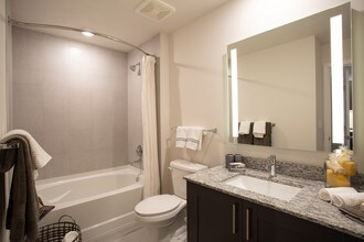 Camden Central in St. Petersburg, FL - Foto de edificio - Interior Photo