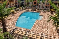 Pool - Millenia 700 Apartments in Orlando, Florida