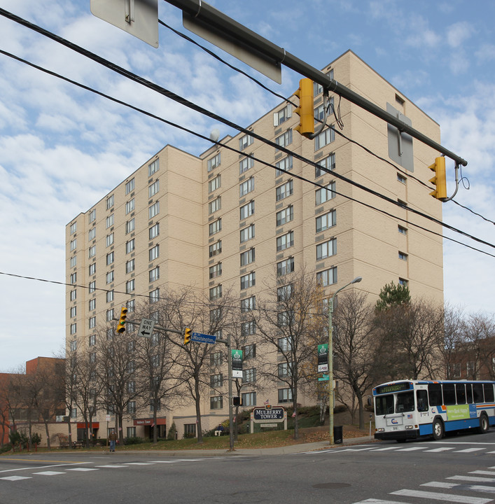 Mulberry Towers in Scranton, PA - Building Photo