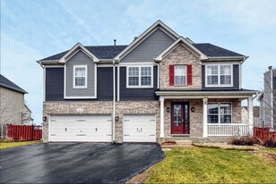 1018 Jewelflower Ln in Joliet, IL - Building Photo