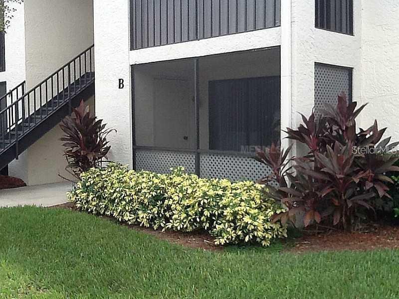 3380 Crystal Ct E in Palm Harbor, FL - Building Photo