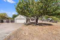 806 Christopher Ave in Round Rock, TX - Foto de edificio - Building Photo