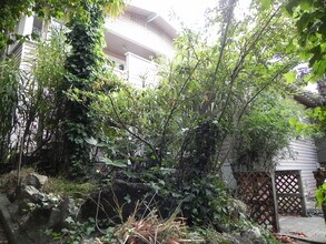917 Bridgeway in Sausalito, CA - Building Photo - Building Photo