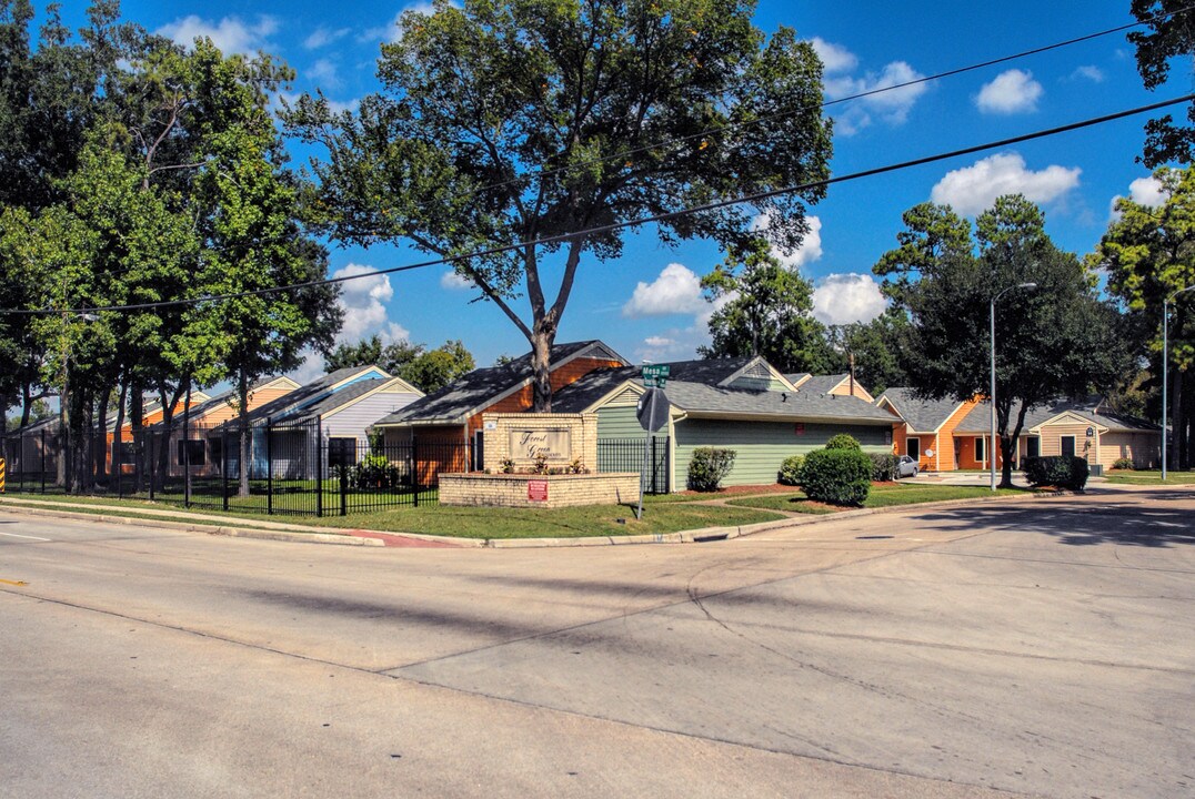 Forest Green Townhomes in Houston, TX - Building Photo