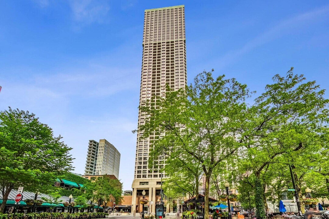 1030 N State St in Chicago, IL - Building Photo