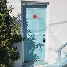 12207 N Armenia Ave in Tampa, FL - Building Photo - Building Photo