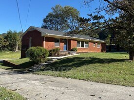 424 Bridge View Ln in Knoxville, TN - Building Photo