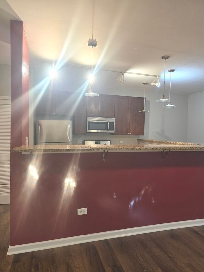 736 S Kedzie Ave in Chicago, IL - Building Photo - Building Photo