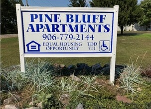 654 S Westwood Ave in Kingsford, MI - Building Photo - Building Photo