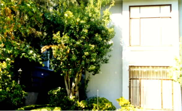 1412-1416 Kelton Ave in Los Angeles, CA - Building Photo